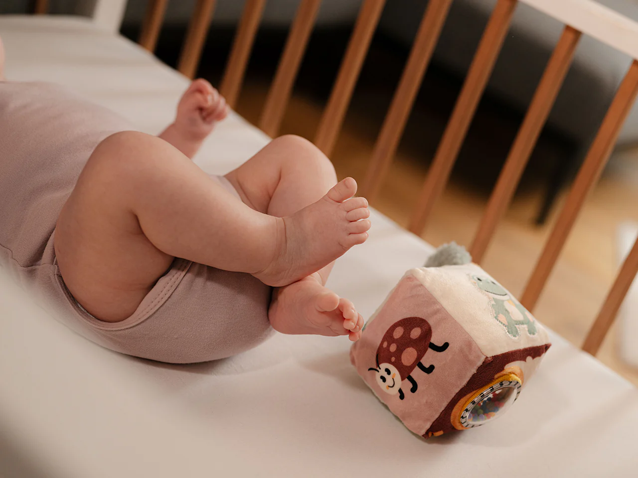 Dreambaby – Projet ERP Odoo réalisé par Eezee